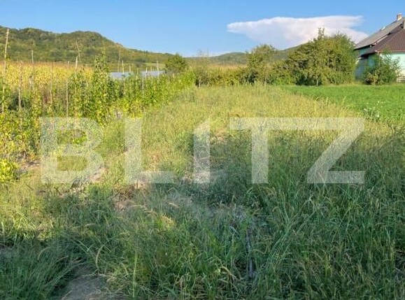 Casa de vânzare 3 camere Sintereag - 199087CV | BLITZ Bistriţa | Poza2