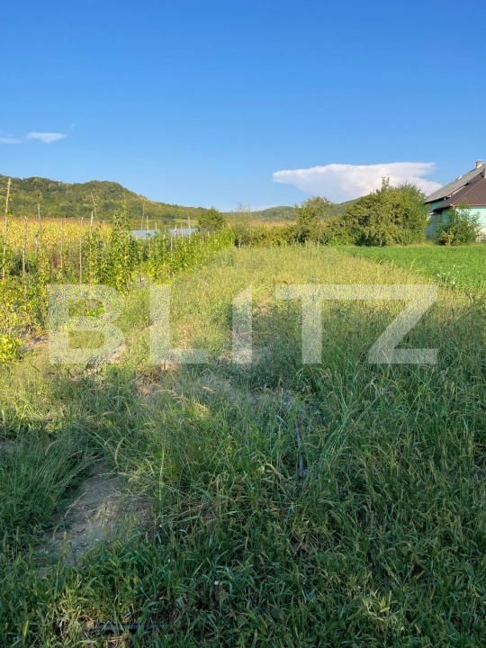 Casa de vânzare 3 camere Sintereag - 199087CV | BLITZ Bistriţa | Poza2