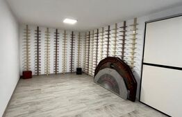 Duplex ultrafinisat de Lux, 230 mp, zona La Soare