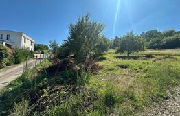 Teren 15 Ari – Viitor Intravilan (PUG 2026), zona Izvorul Sarat Viisoara