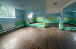 Mansarda spatiu birou/afacere, zona Judecatorie