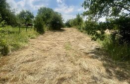 Teren intravilan 3.200 mp | Budacu de Jos | Deschidere la 2 drumuri asfaltate