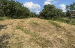 Teren intravilan 3.200 mp | Budacu de Jos | Deschidere la 2 drumuri asfaltate