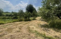 Teren intravilan 3.200 mp | Budacu de Jos | Deschidere la 2 drumuri asfaltate