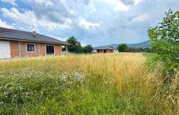 1000 MP TEREN INTRAVILAN IN UNIREA