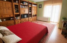 Casă individuală spațioasă + spațiu comercial, teren 3.940 mp – Livezile