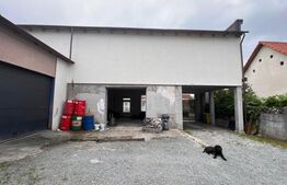 Casă individuală spațioasă + spațiu comercial, teren 3.940 mp – Livezile