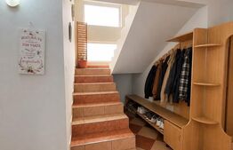Casă individuală spațioasă + spațiu comercial, teren 3.940 mp – Livezile
