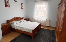 Casă individuală spațioasă + spațiu comercial, teren 3.940 mp – Livezile