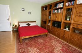 Casă individuală spațioasă + spațiu comercial, teren 3.940 mp – Livezile