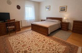 Casă individuală spațioasă + spațiu comercial, teren 3.940 mp – Livezile