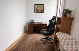 Casă individuală spațioasă + spațiu comercial, teren 3.940 mp – Livezile