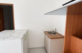 Casă individuală spațioasă + spațiu comercial, teren 3.940 mp – Livezile
