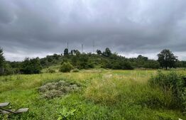 Casă individuală spațioasă + spațiu comercial, teren 3.940 mp – Livezile