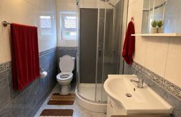 Casă individuală spațioasă + spațiu comercial, teren 3.940 mp – Livezile