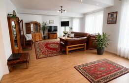 Casă individuală spațioasă + spațiu comercial, teren 3.940 mp – Livezile