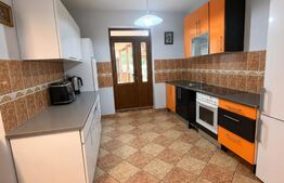 Casă individuală spațioasă + spațiu comercial, teren 3.940 mp – Livezile