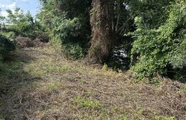 Teren de vanzare – 942 m² | Zăvoaie,  Bistrita | Acces direct la raul Bistrita