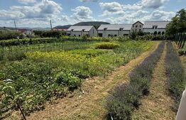 Teren intravilan strada Pricipala, 3.000 mp, Bistrita