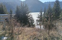 Teren intravilan de vânzare – 3100 mp Colibita, front lac 70