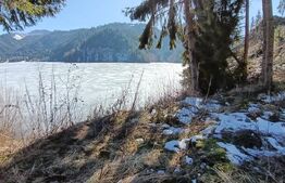 Teren intravilan de vânzare – 3100 mp Colibita, front lac 70