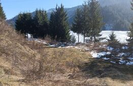 Teren intravilan de vânzare – 3100 mp Colibita, front lac 70