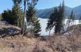 Teren intravilan de vânzare – 3100 mp Colibita, front lac 70