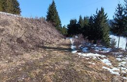 Teren intravilan de vânzare – 3100 mp Colibita, front lac 70