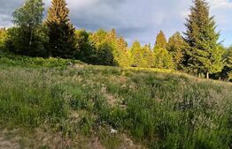 Teren intravilan de vânzare – 1500 mp, Colibita, front 25.