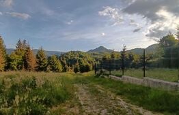 Teren intravilan de vânzare – 1500 mp, Colibita, front 25.