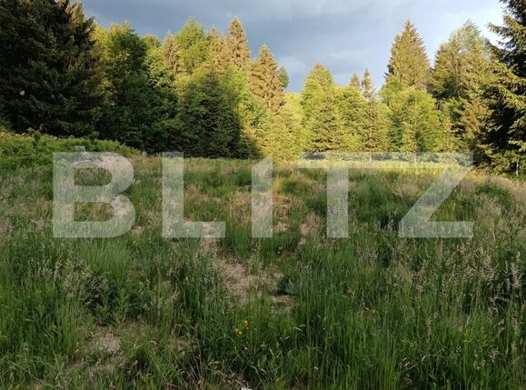 Teren de vânzare Sud - 200031TV | BLITZ Bistriţa | Poza5