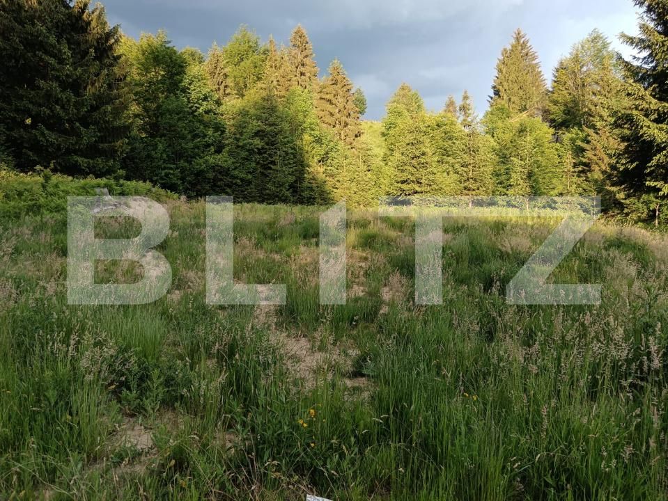Teren de vânzare Sud - 200031TV | BLITZ Bistriţa | Poza5