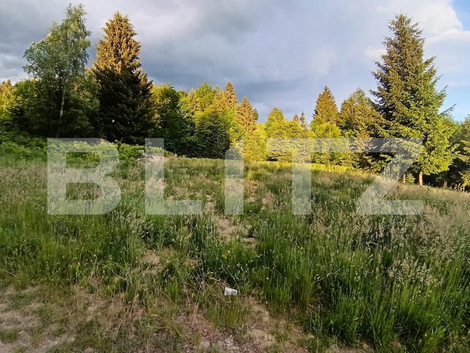 Teren de vânzare Sud - 200031TV | BLITZ Bistriţa | Poza4