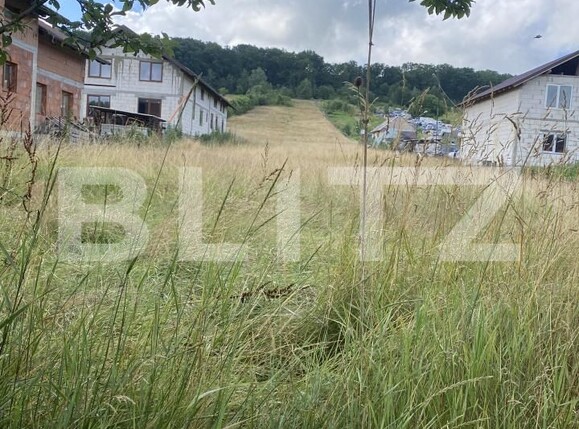 Teren de vânzare Exterior Sud - 200125TV | BLITZ Bistriţa | Poza1