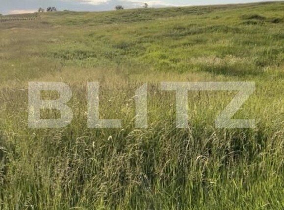 Teren de vânzare Exterior Sud - 200151TV | BLITZ Bistriţa | Poza1