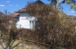 Casa de vanzare, 31 arii teren, Samihaiul de Campie