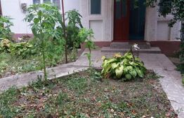 Casa de vanzare, 31 arii teren, Samihaiul de Campie