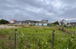 Teren intravilan, 521 mp – Strada Cameliei