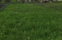 Teren intravilan, 521 mp – Strada Cameliei