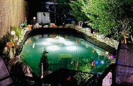 Casă individuală cu piscină, curte amenajată și afacere inclusă – Unirea