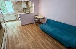 Garsoniera de vanzare, 24 mp, etaj 2 - Bistrita