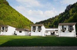 Resort montan premium de vanzare - Colibita