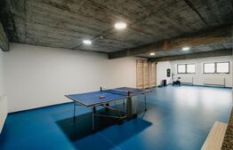 Resort montan premium de vanzare - Colibita
