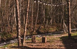 Resort montan premium de vanzare - Colibita