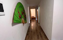 Cabana de Vânzare – aproape de lac | 0% comision pentru cumpărător