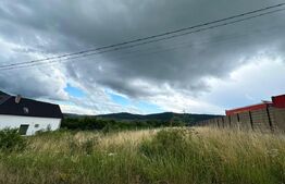 Teren de vânzare – Viișoara, spre Crainimăt | 2.500 mp | Intravilan