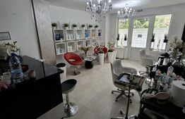 Spațiu comercial de închiriat Salva - 200707SIC | BLITZ Bistriţa | Poza1