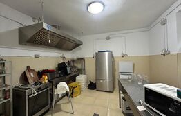 Spatiu Comercial de Inchiriat / Salva - cu terasa si curte interioara