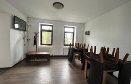 Spatiu Comercial de Inchiriat / Salva - cu terasa si curte interioara