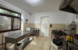 Spatiu Comercial de Inchiriat / Salva - cu terasa si curte interioara